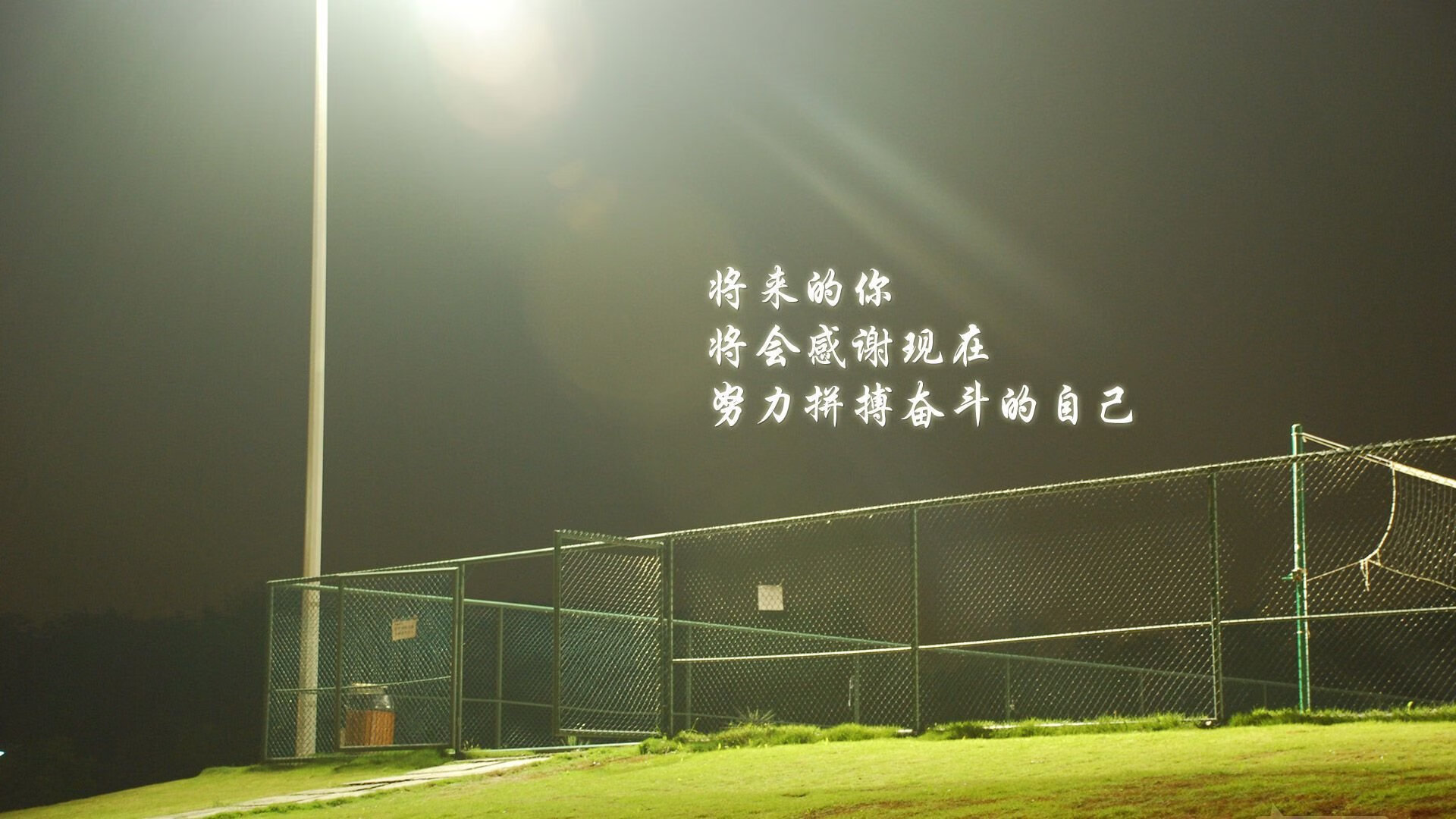 各国龙舟竞技，体育融入传统文化，中华传统龙舟全球竞演
