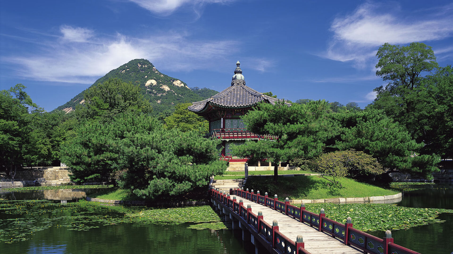特色足球文化活动在全国范围内逐步普及，足球特色学校宣传片
