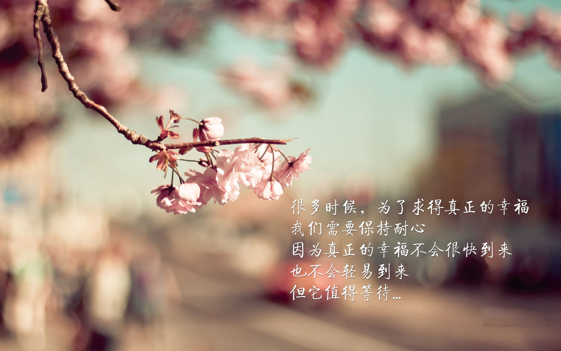 年轻主帅是否正成为联赛创新核心动力，足球史上最年轻主教练