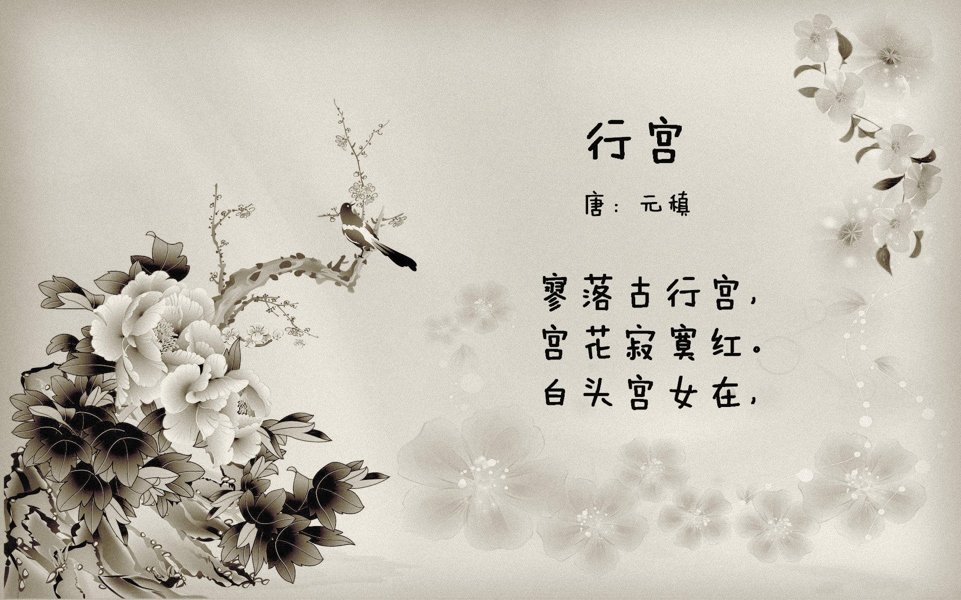 年轻主帅是否正成为联赛创新核心动力，足球史上最年轻主教练