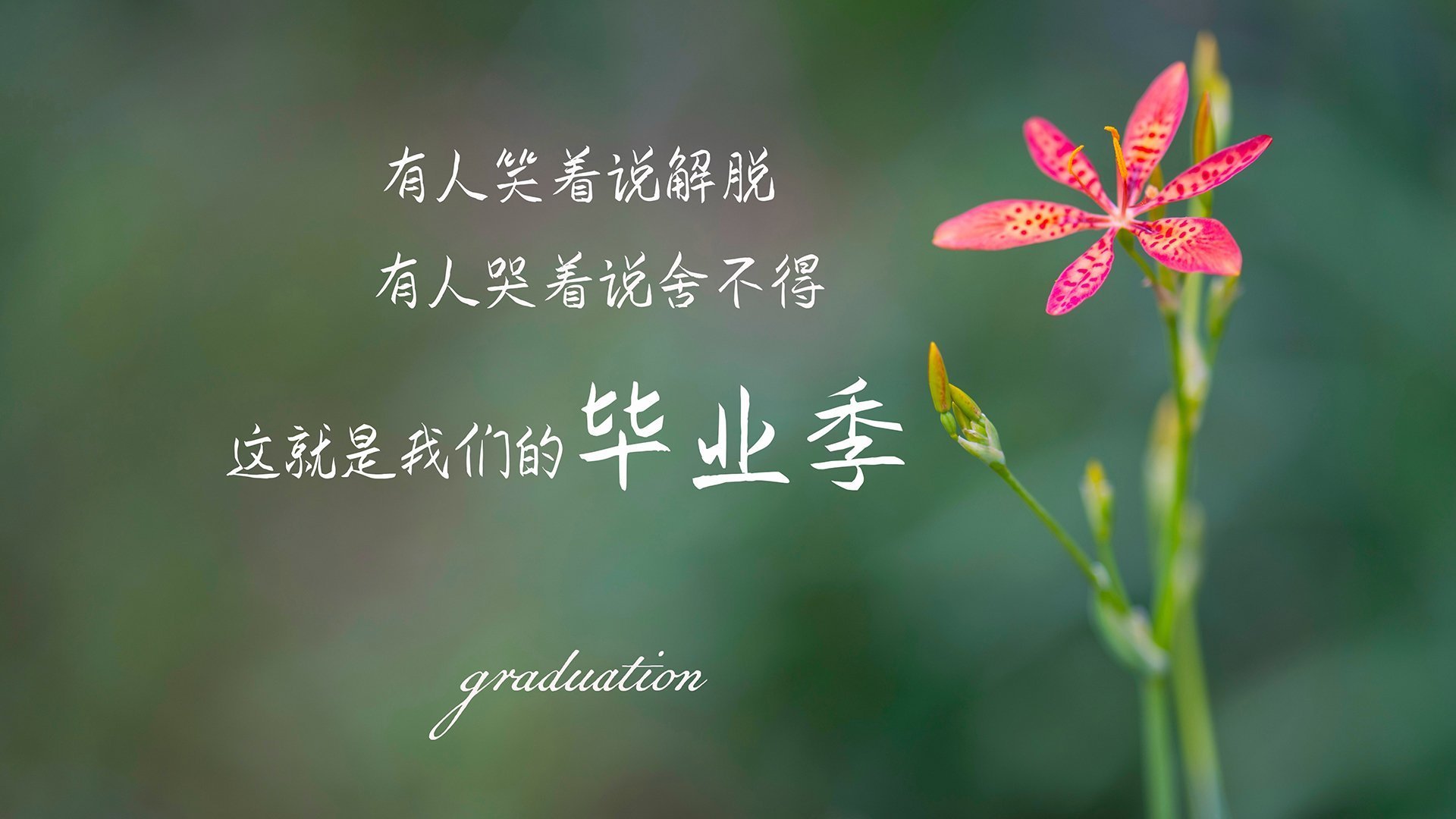 战火燃烧：球场上的对决激情四射，无人能挡，yy战火燃烧