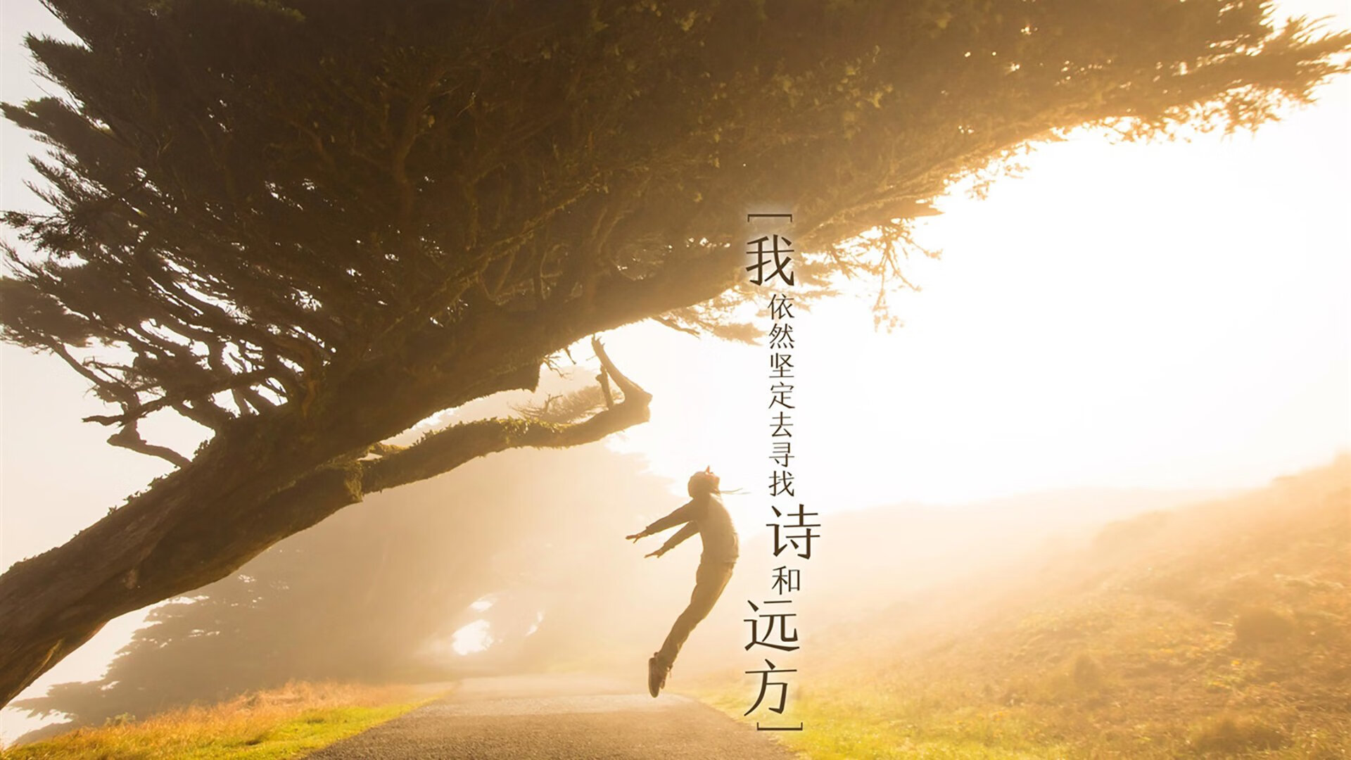 西班牙队在国际篮球场上一展身手，西班牙篮球2021