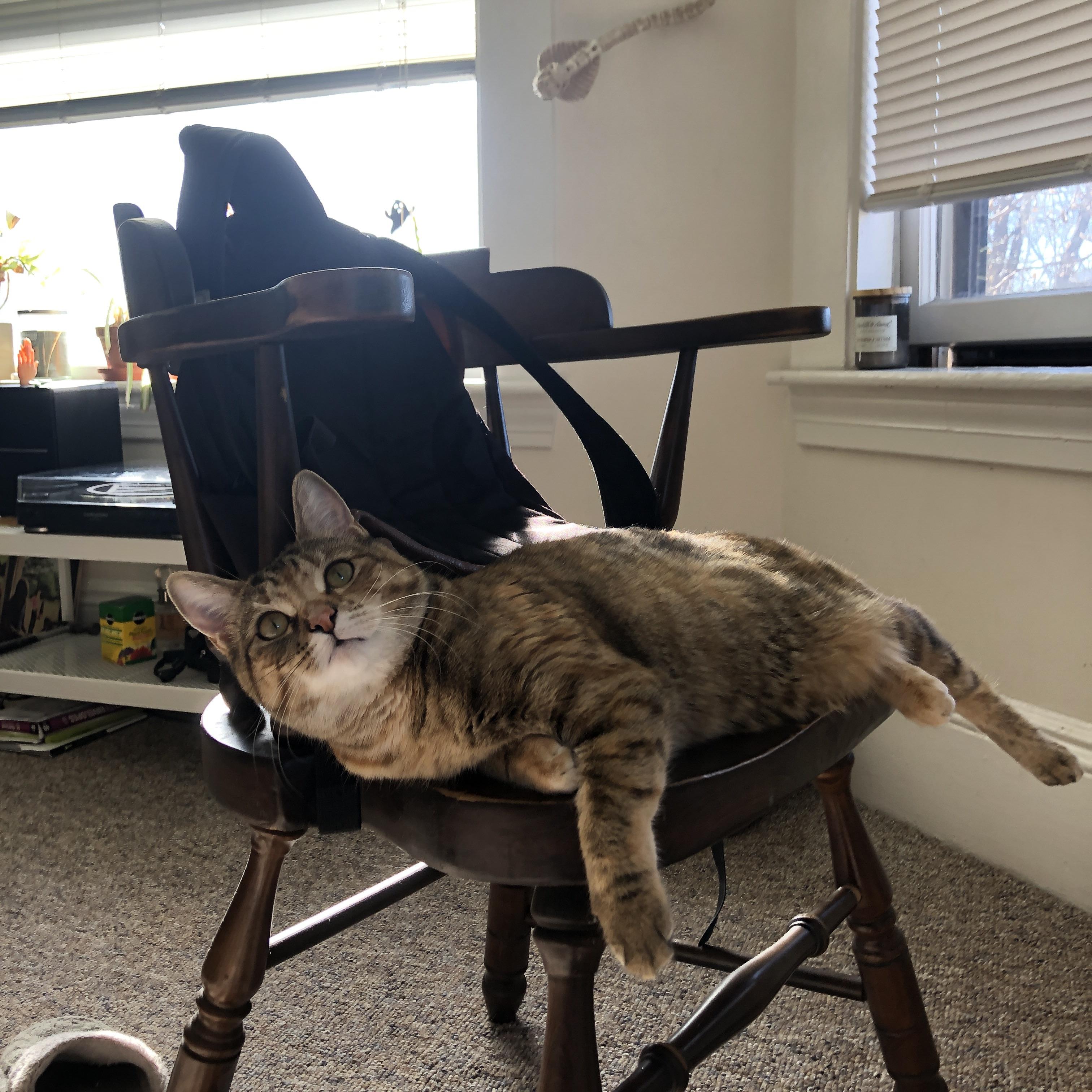 乐鱼电竞· (中国)官方网站-运动科技成果转化加速提升训练效率，运动训练科学化进展与启示