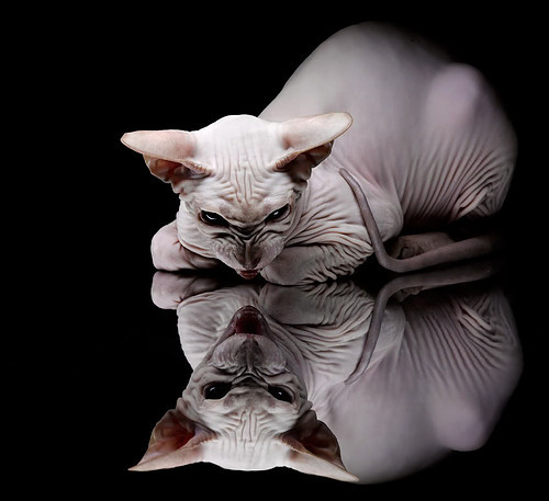 乐鱼电竞· (中国)官方网站-勇士训练后全队合唱放松情绪，勇士队音乐