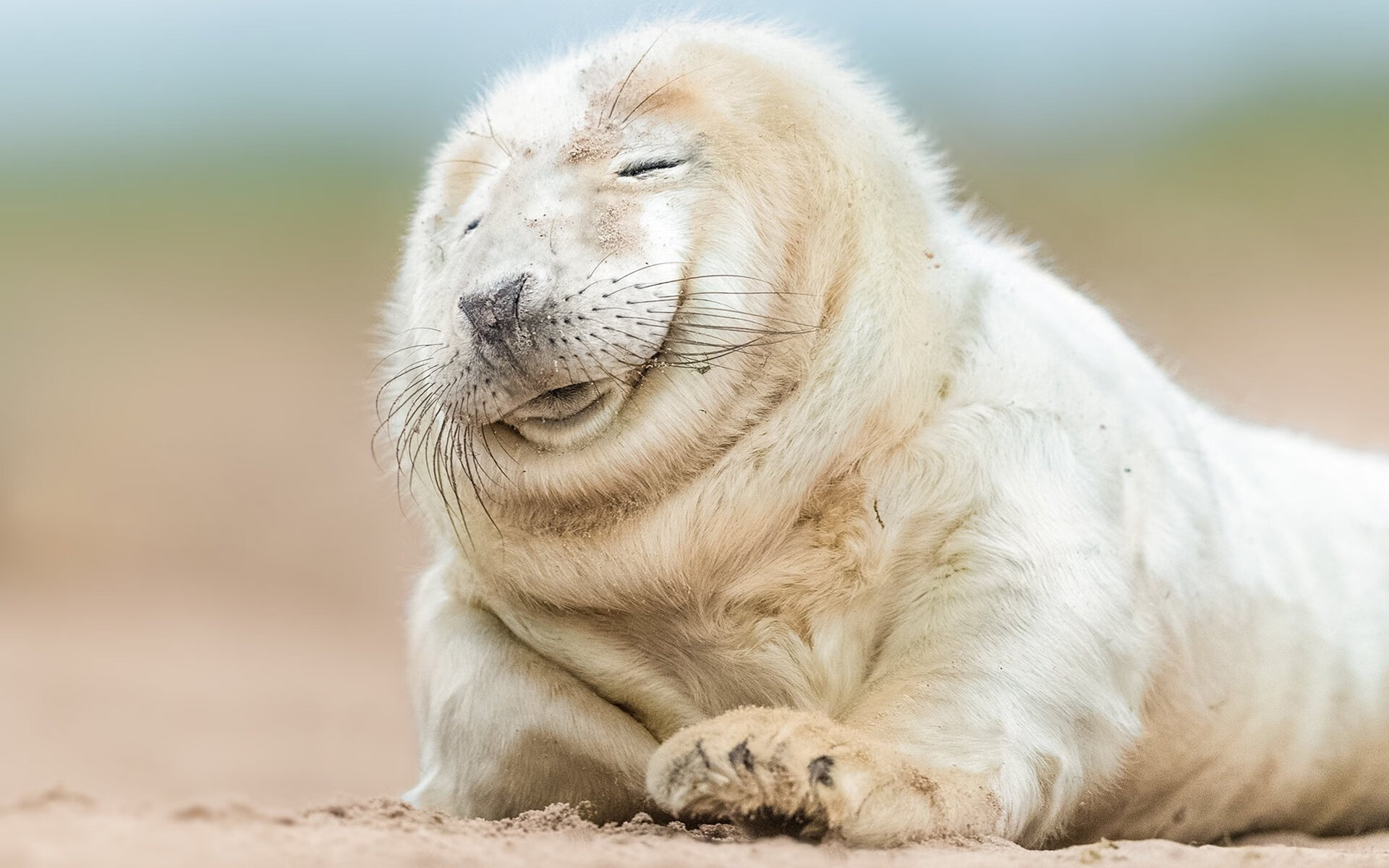 勇士训练后全队合唱放松情绪,勇士队音乐