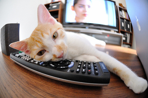 乐鱼电竞-曼联豪取连胜，重振英超冠军争夺战