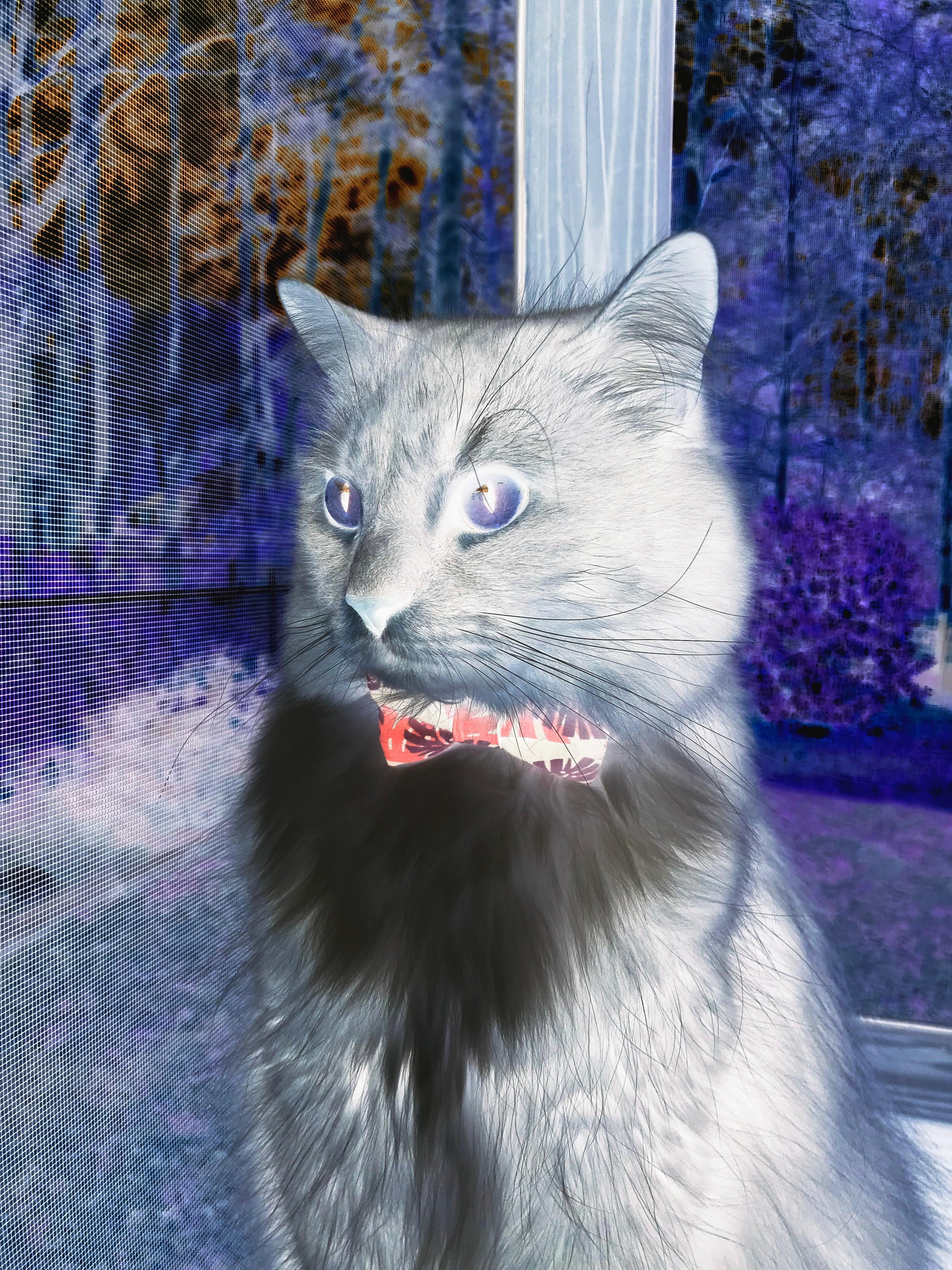 李冰洁决赛回顾:从起跳到终点全程精彩,李冰洁赛后采访视频