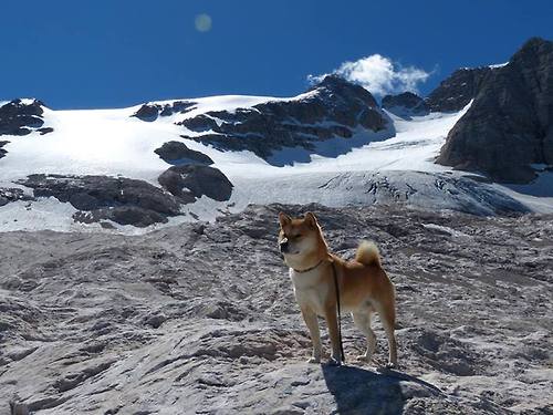 范奥特尔戴克50米蝶泳个人最佳再提升,范戴克凯尔特人